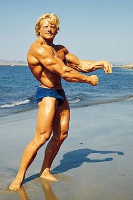 Дэвид Дрэйпер