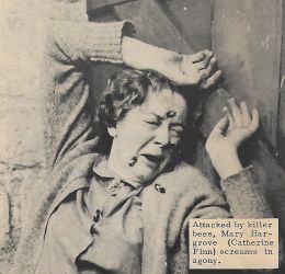 Кэтрин Финн