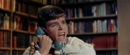 Pete Menefee
