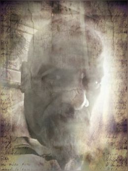 Роберт Дж. Метойер