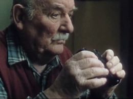 Werner Senftleben