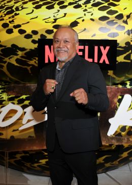 Дэррил Видал