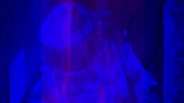 Джон Уотерхауз