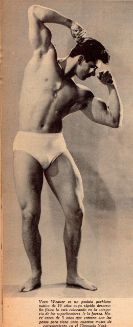 Вернон Уивер