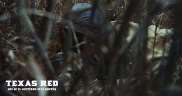 Седрик Бернсайд