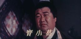Hsiao-Pao Ko