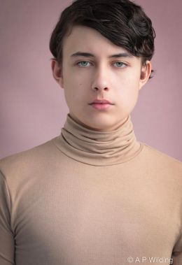 Мэйс Феникс