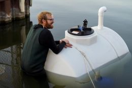 Дастин Хоук