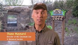 Тэн Мэйнард