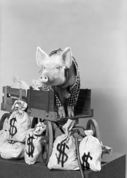 Arnold the Piggy