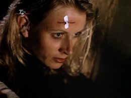 Аня Шрайнер