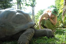 Жози Бурниваль