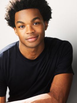 Майкл И. Каммингс