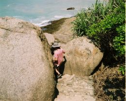 Эойн МакЛафлин