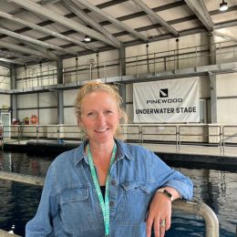 Джо Саусуэлл