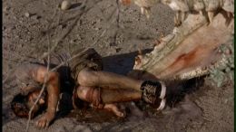 Крис Солари