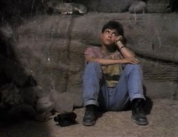 Роберт Гэвин