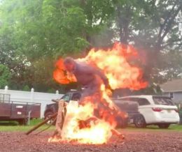 Майкл Виола