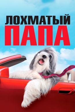 Лохматый папа
