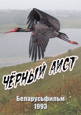 Черный аист