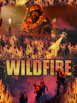 Дикий огонь