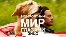 Невероятный мир глазами Энцо (2019) — Фильм.ру