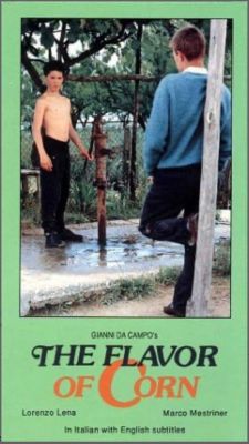 Аромат кукурузы