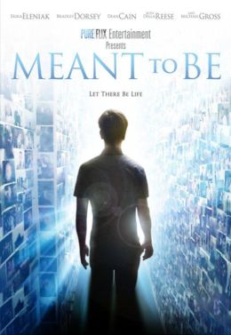 Задуманное