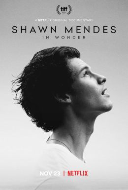 Shawn Mendes: Wonder