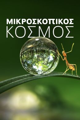 Крошечный мир