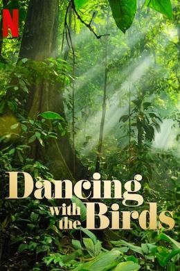 Танцы с птицами
