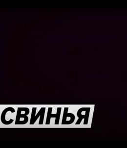 Свинья