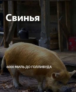 Свинья