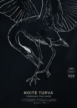Noite Turva