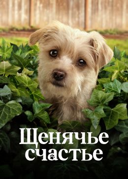Щенячье счастье