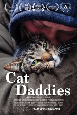 Котики