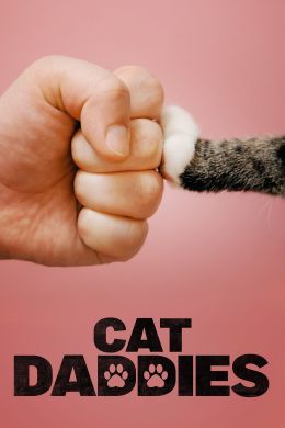 Котики