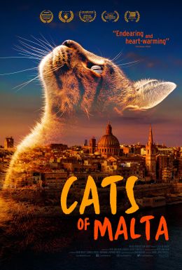 Cats of Malta