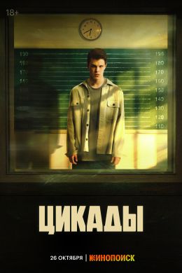 Цикады