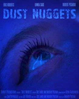 Dust Nuggets