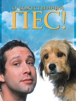 О, божественный пес!