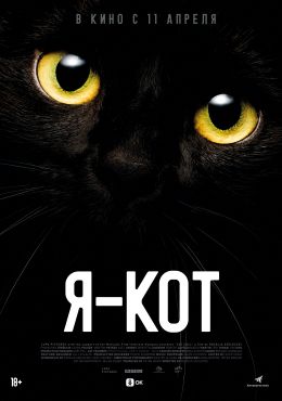 Я – кот