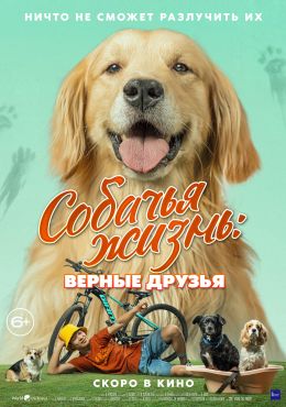 Собачья жизнь. Верные друзья