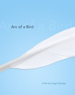 Arc of a Bird