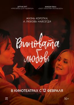 Виновата любовь