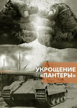Укрощение «Пантеры»
