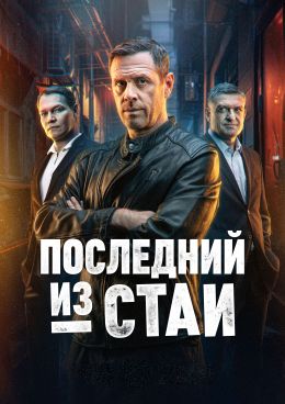 Последний из стаи
