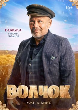 Волчок