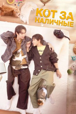 Кот за наличные