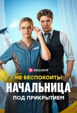 Не беспокоить! Начальница под прикрытием